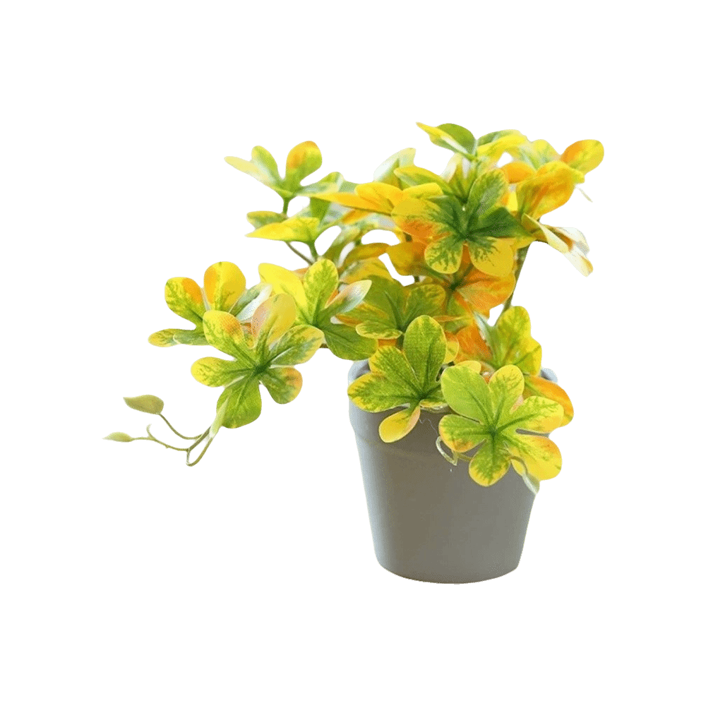 Bonsai Artificial Bonsai Plant - Spider Plant Hanging recensie en prijs