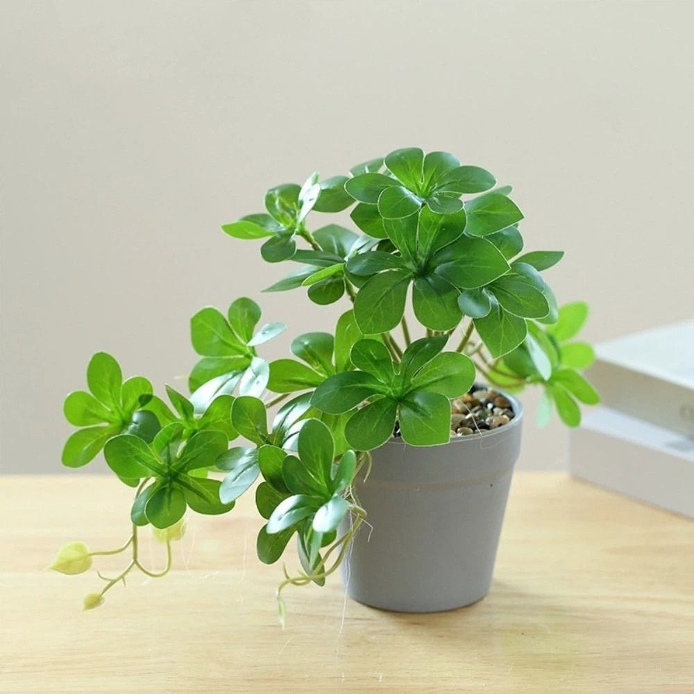 Bonsai Artificial Bonsai Plant - Spider Plant Hanging recensie en prijs
