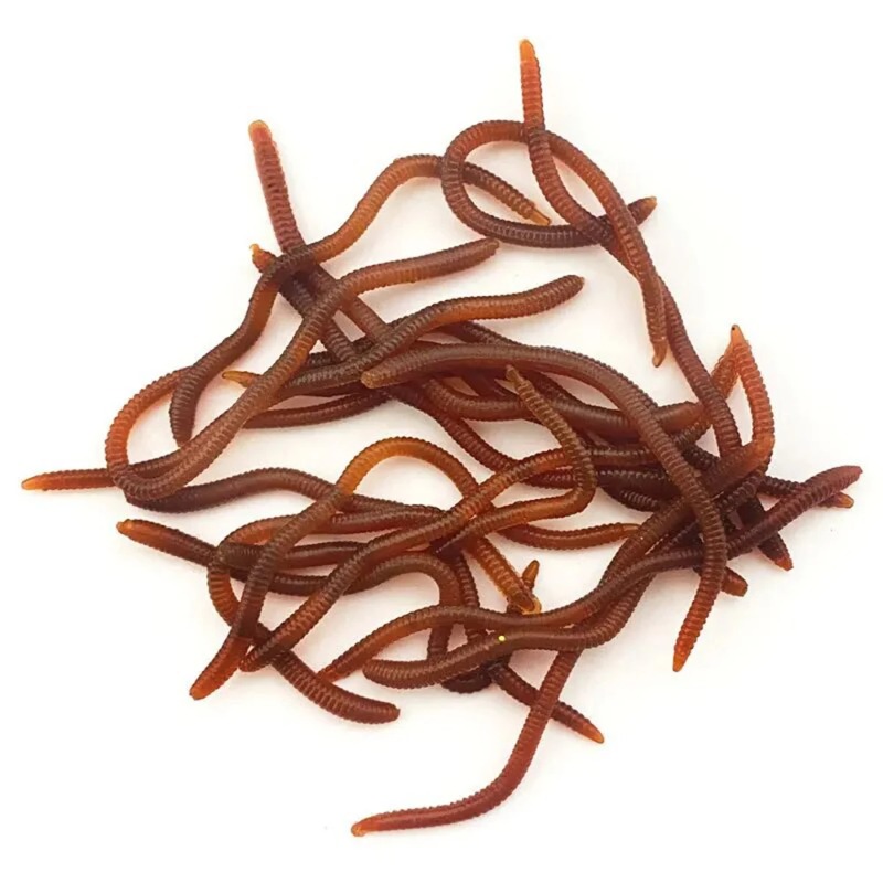 Lifelike Fishy Smell Red Soft  - Aglaonema Red recensie en prijs