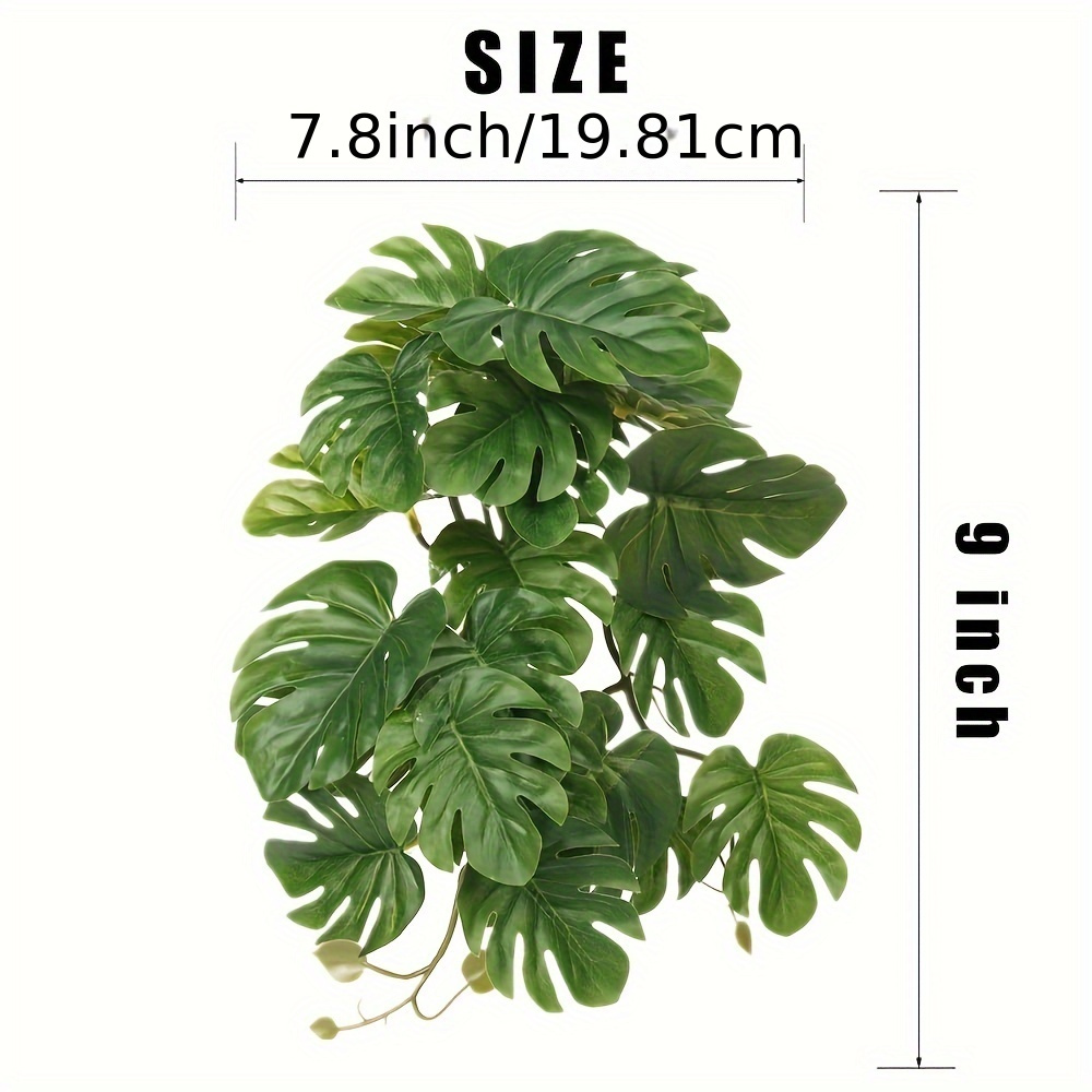 Reptile Plants for Terrarium A - Monstera Adansonii recensie en prijs