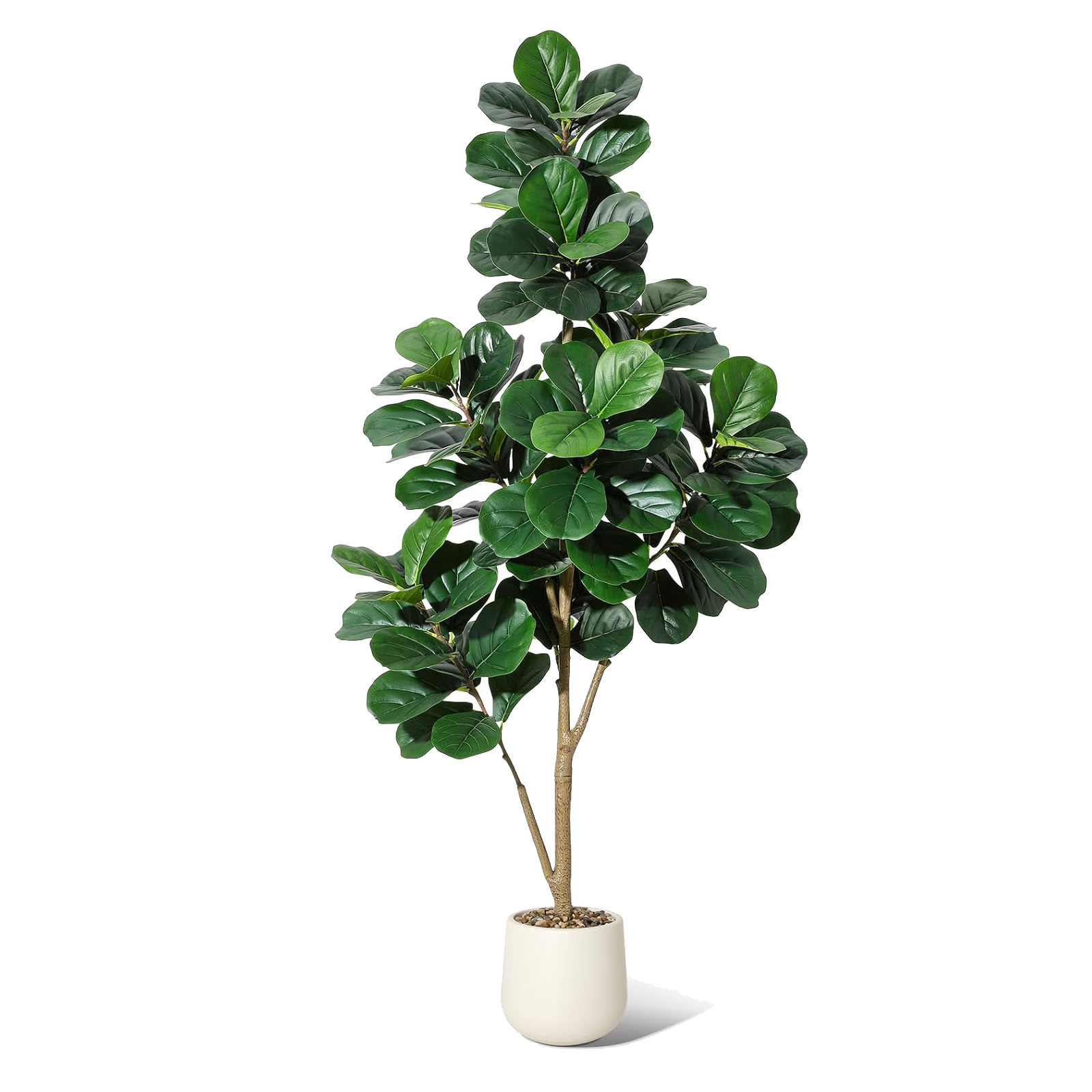 4-7 FT Fiddle Leaf Fig Tree Ar - Ficus Lyrata Tree recensie en prijs