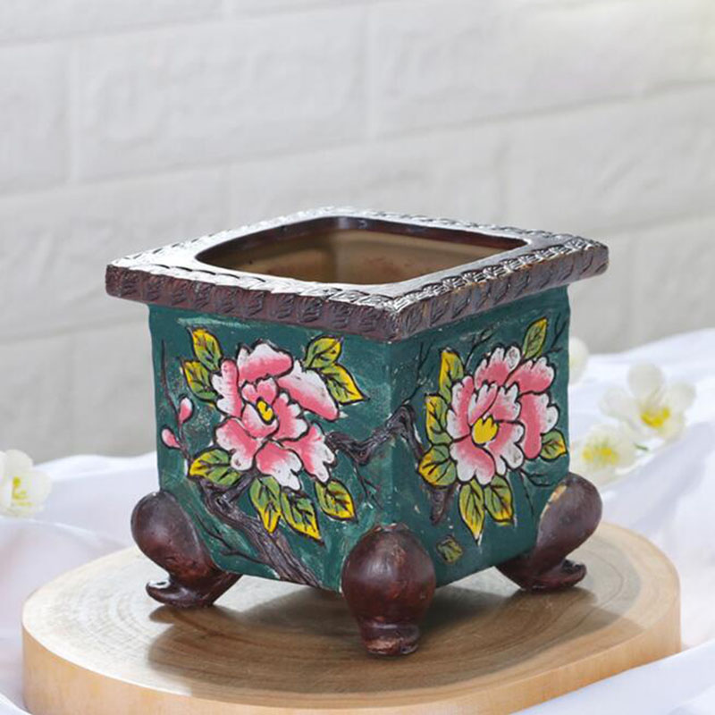 Korean Style Handpainted Flora - Pilea Peperomioides recensie en prijs