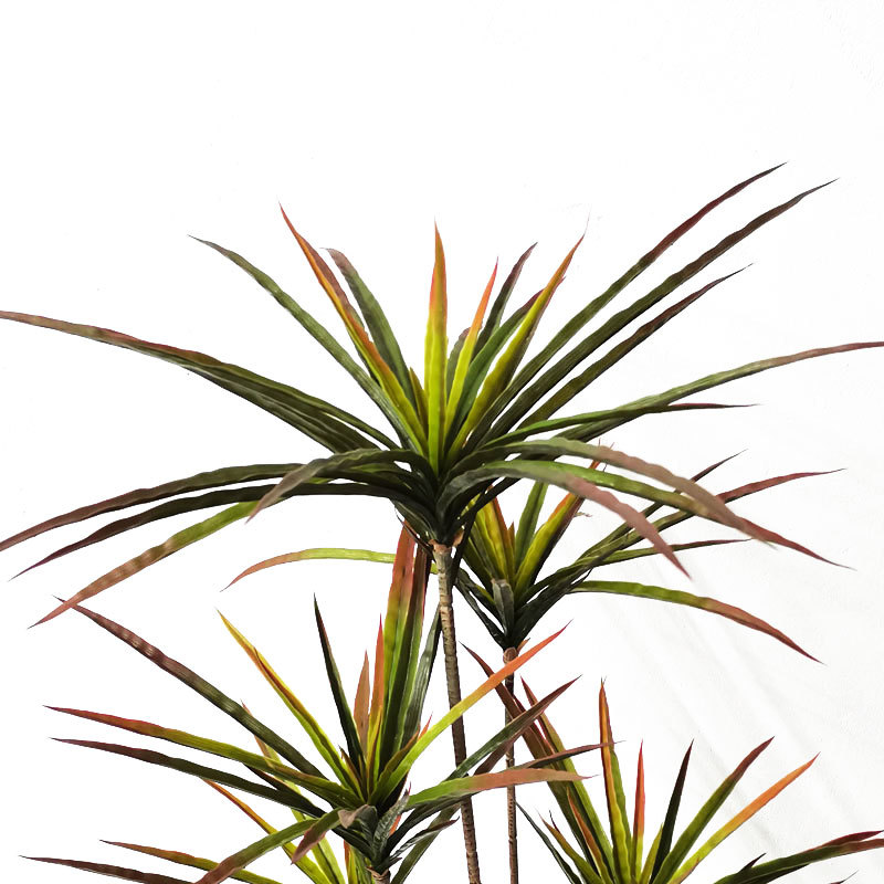 New 90-120cm Artificial Dracae - Dracaena Marginata recensie en prijs