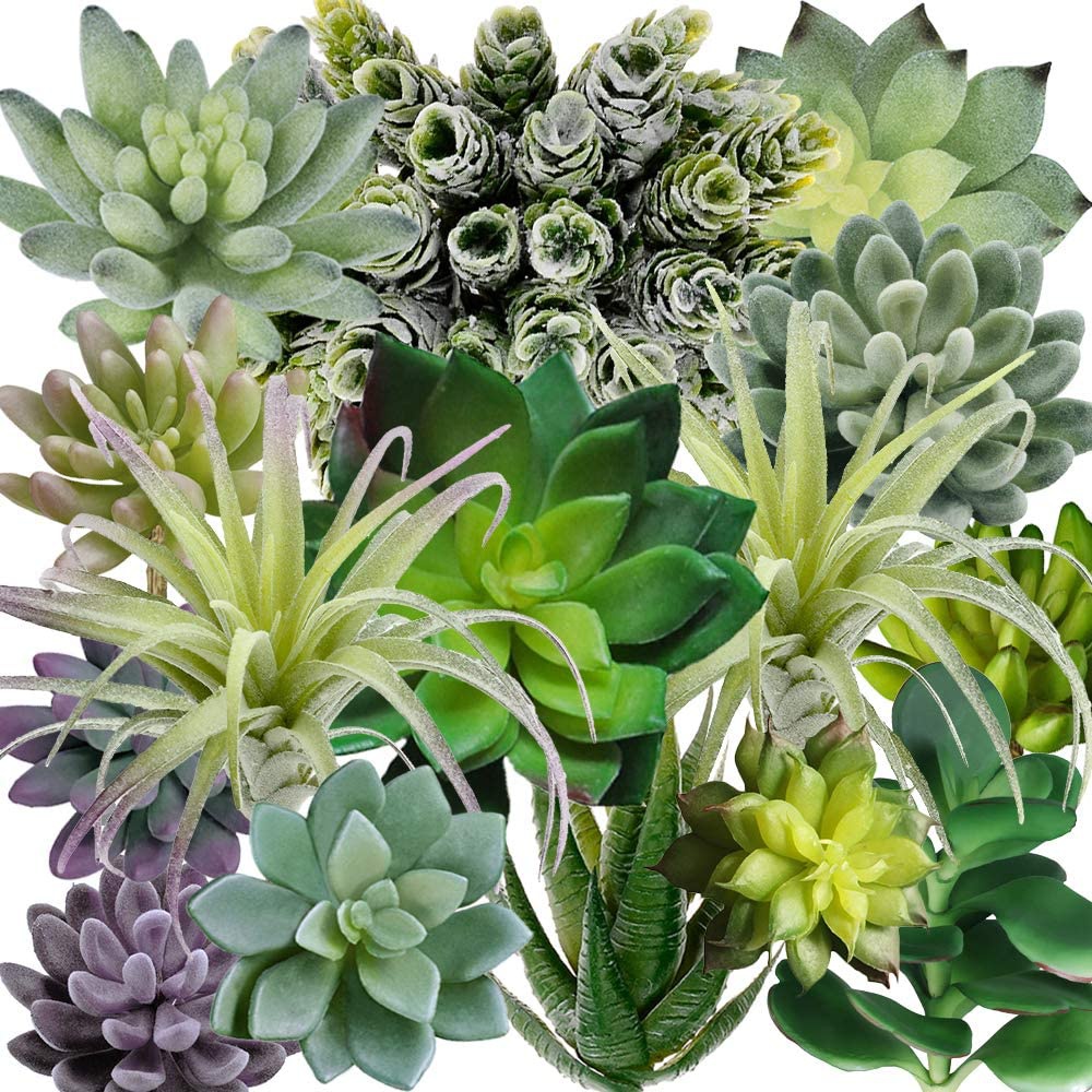 15 Pack Assorted Artificial Su - Echeveria Succulent recensie en prijs