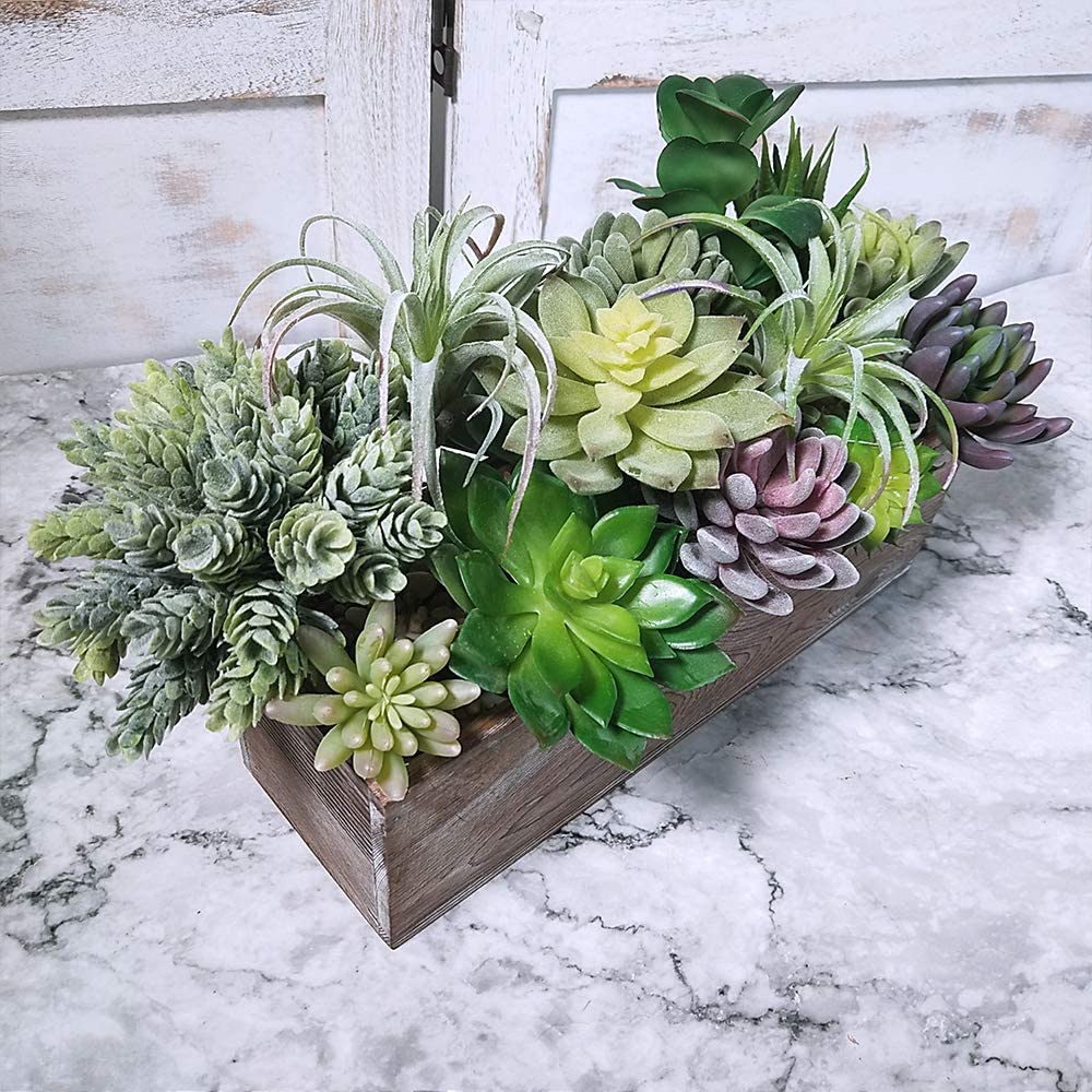 15 Pack Assorted Artificial Su - Echeveria Succulent recensie en prijs
