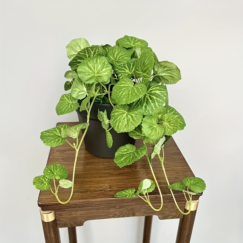 An artificial hanging vine pla - Pilea Peperomioides recensie en prijs