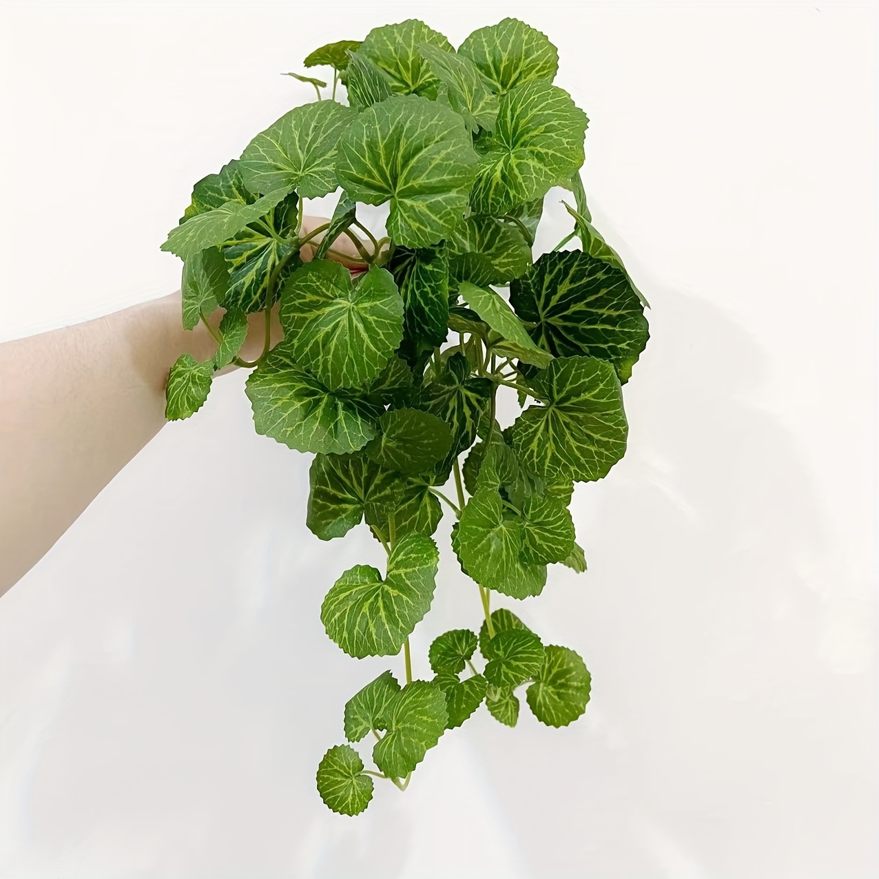 An artificial hanging vine pla - Pilea Peperomioides recensie en prijs
