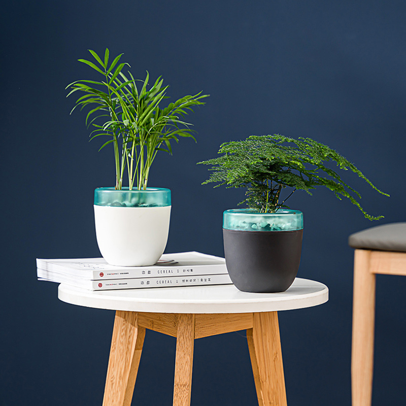 Automatic Water Absorption Laz - Aloe Vera Pot recensie en prijs