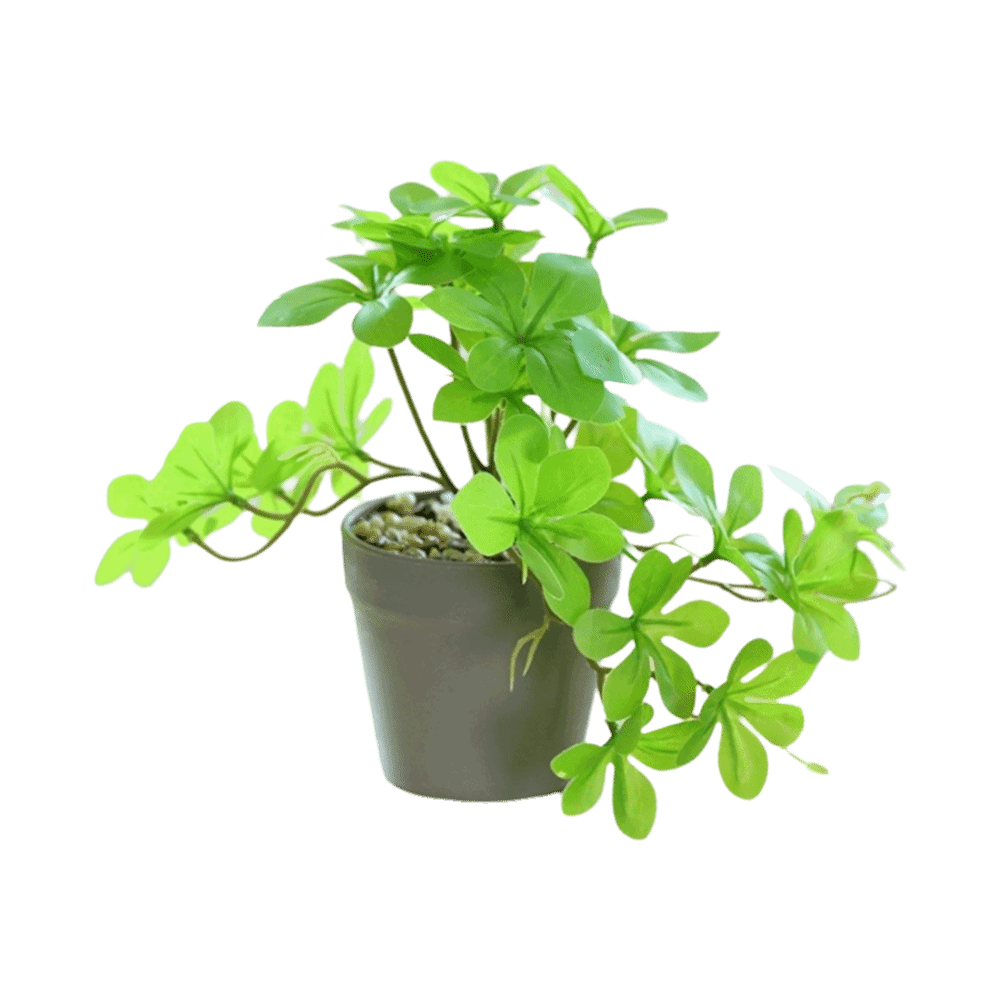 Bonsai Artificial Bonsai Plant - Spider Plant Hanging recensie en prijs