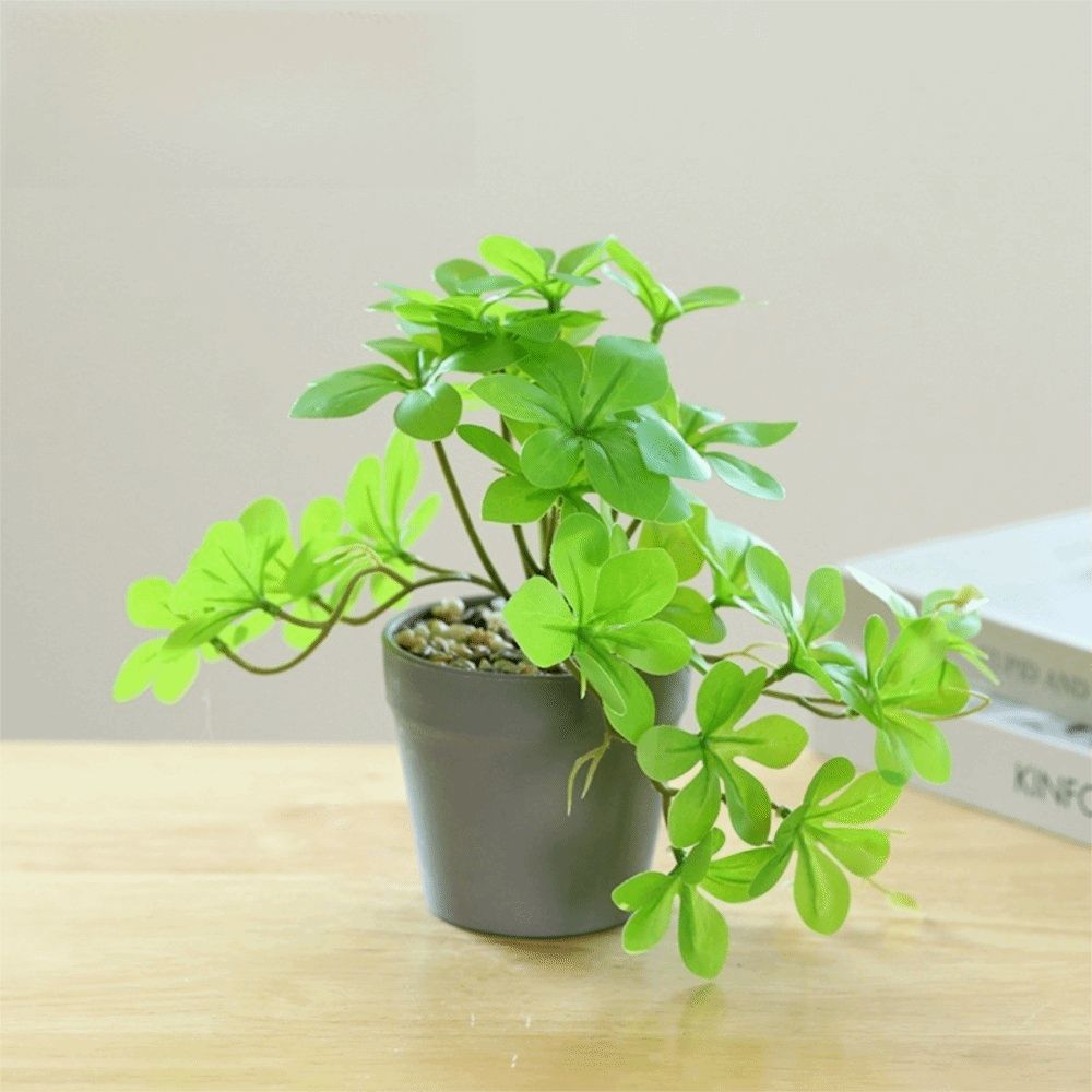 Bonsai Artificial Bonsai Plant - Spider Plant Hanging recensie en prijs