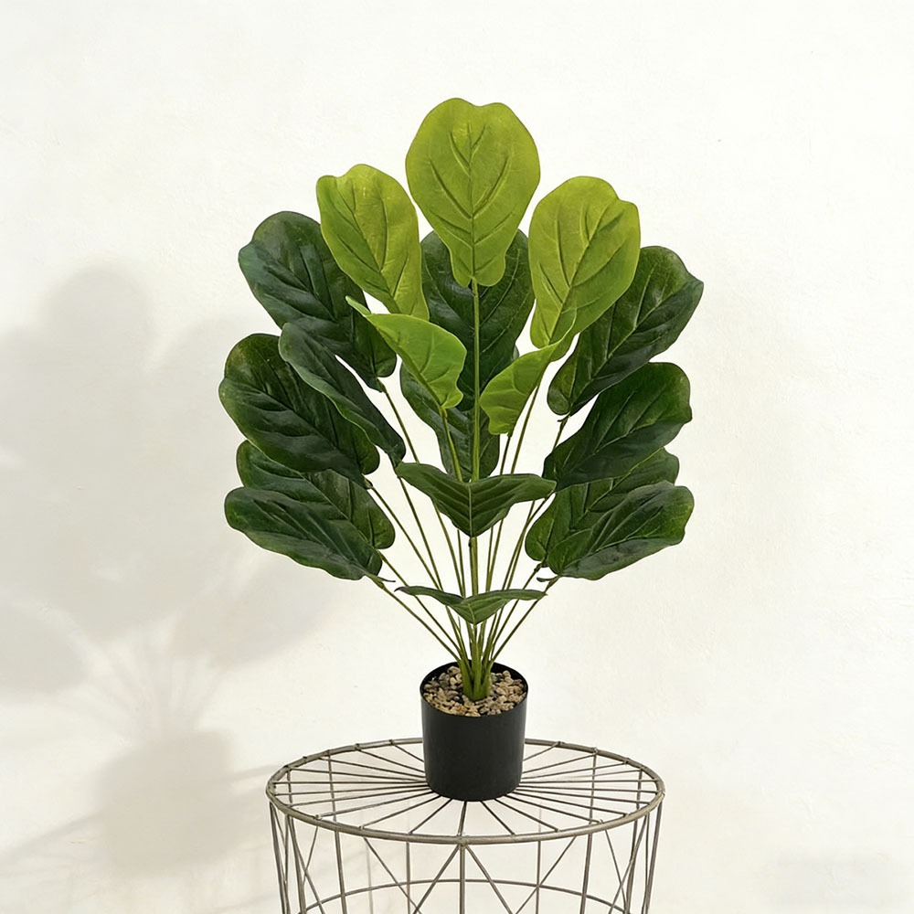 1pc of 75cm Artificial Ficus L - Ficus Lyrata Tree recensie en prijs
