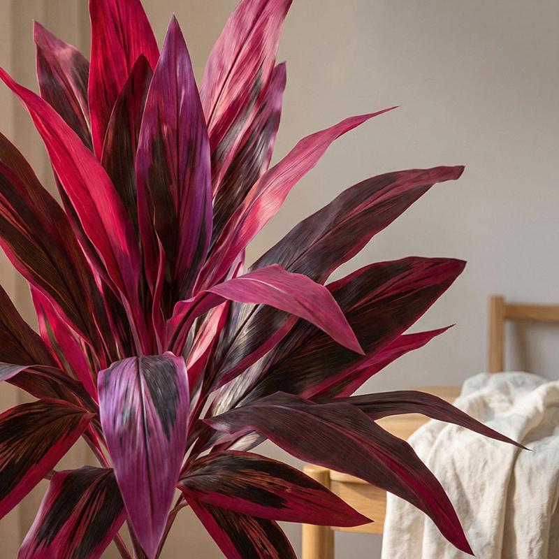 Large Artificial Dracaena Marg - Dracaena Marginata recensie en prijs