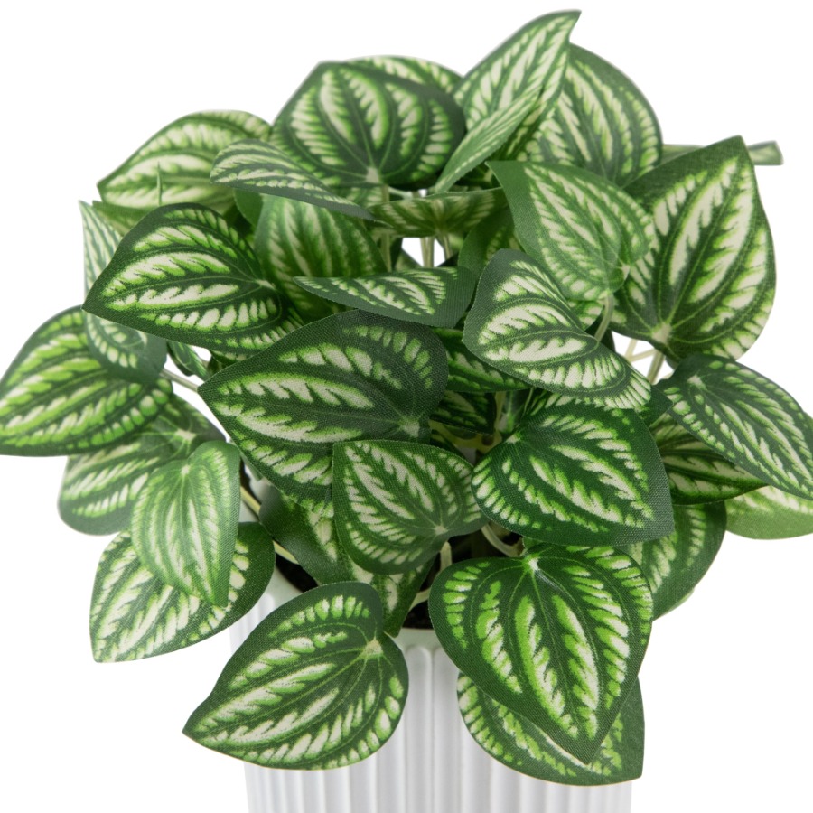 Artificial Watermelon Peperomi - Peperomia Watermelon recensie en prijs