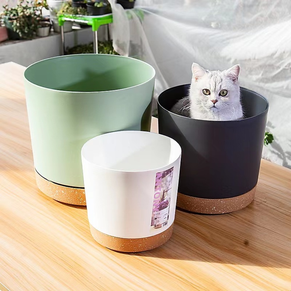 Plant POTS, lightweight large  - Aloe Vera Pot recensie en prijs