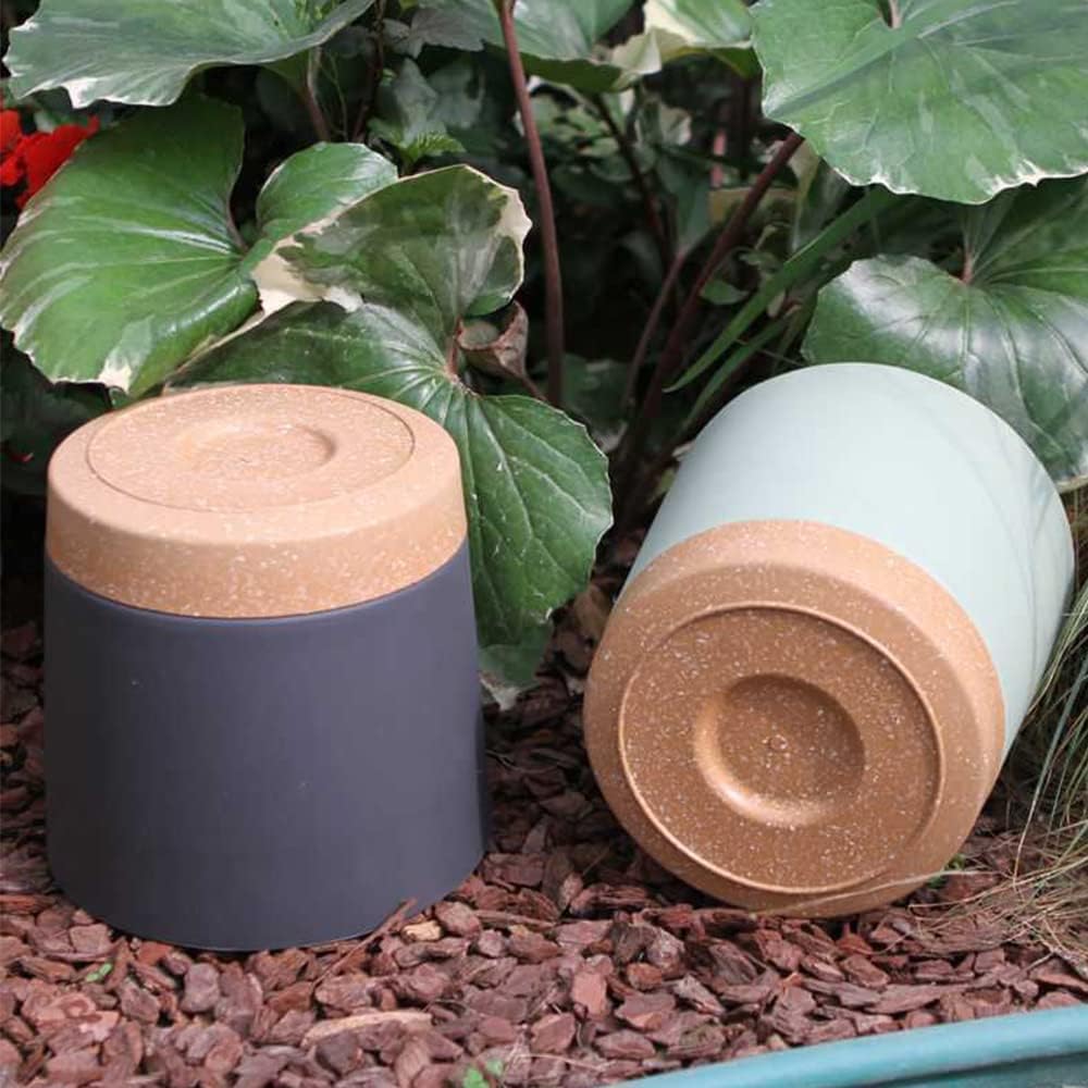 Plant POTS, lightweight large  - Aloe Vera Pot recensie en prijs