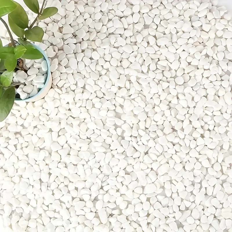 White Pebbles Decorative Stone - Echeveria Succulent recensie en prijs