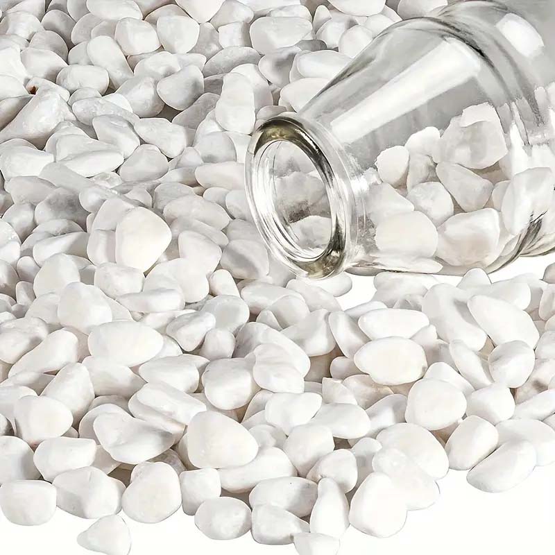 White Pebbles Decorative Stone - Echeveria Succulent recensie en prijs