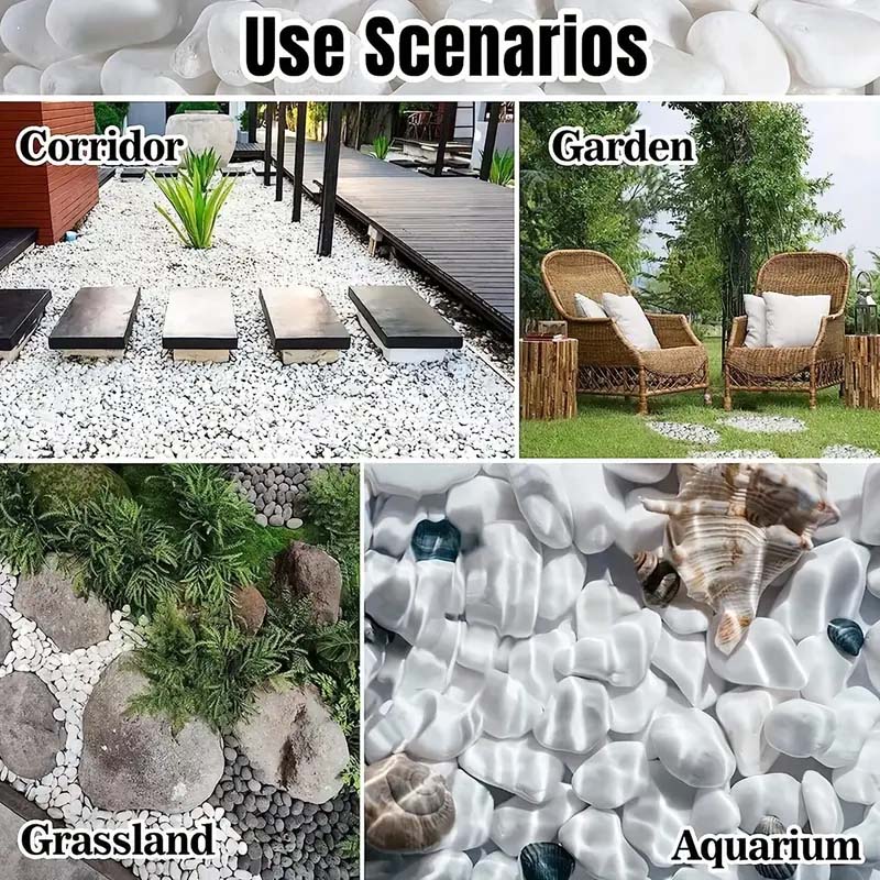 White Pebbles Decorative Stone - Echeveria Succulent recensie en prijs