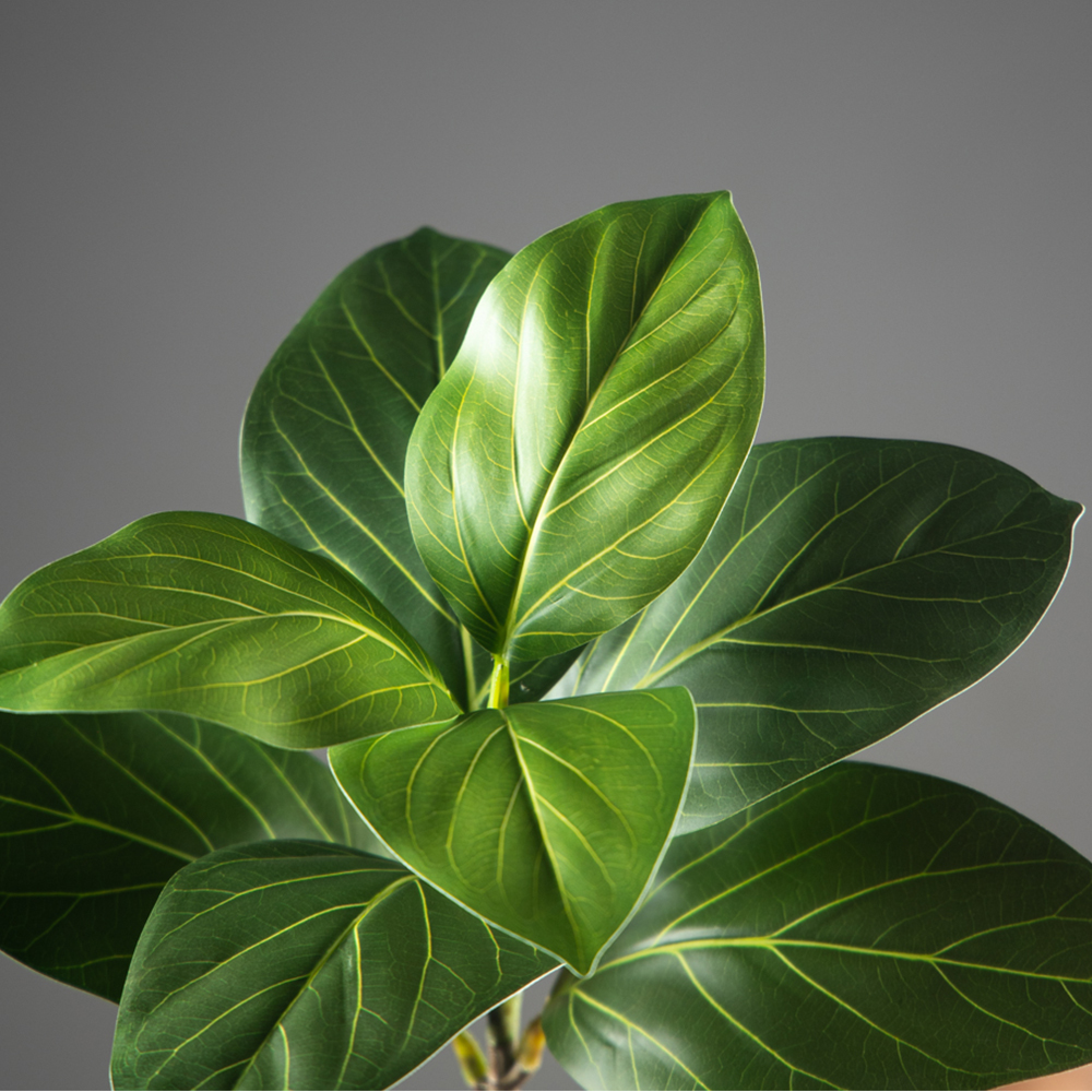 70-130cm Large Artificial Bany - Ficus Lyrata Tree recensie en prijs