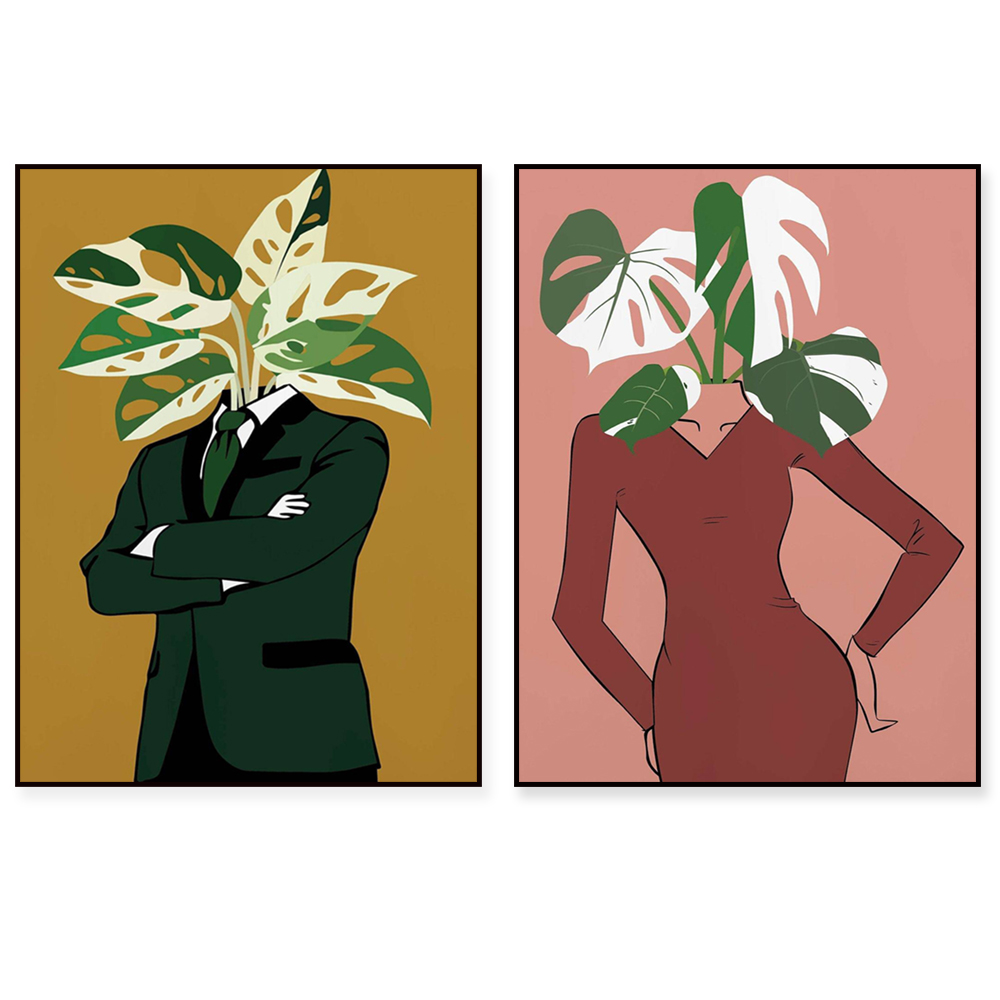 Monstera Albo in a burgundy dr - Monstera Adansonii recensie en prijs