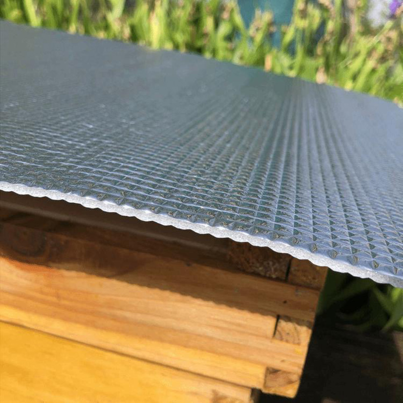 15PCS Beehive Nest Bee Reflect - Begonia Rex recensie en prijs