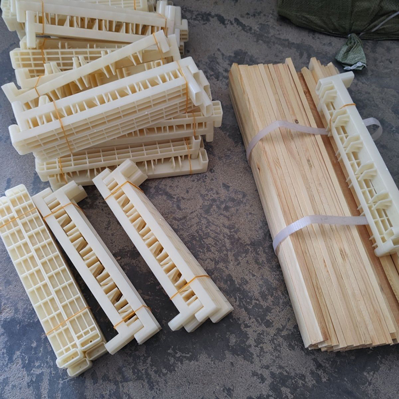 Bee Breeding Frames Plastic Ch - Begonia Rex recensie en prijs
