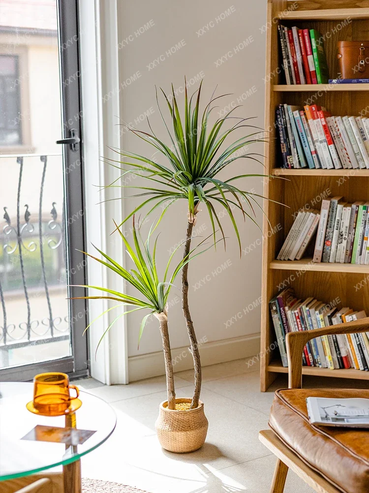 Light Luxury Simulation Green  - Dracaena Marginata recensie en prijs