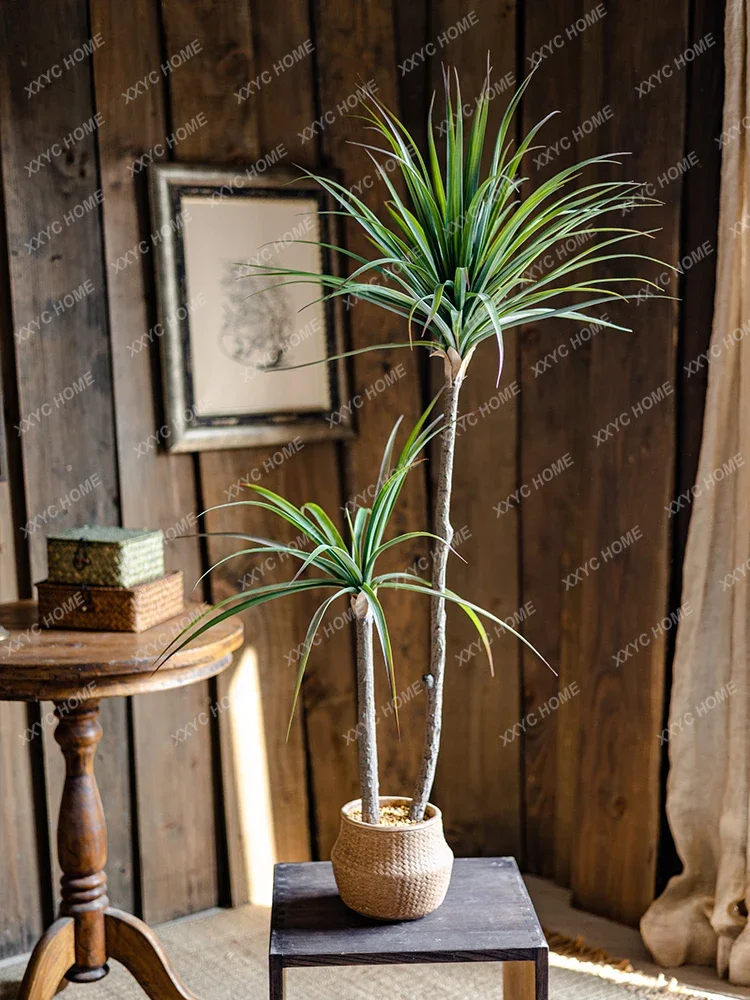 Light Luxury Simulation Green  - Dracaena Marginata recensie en prijs
