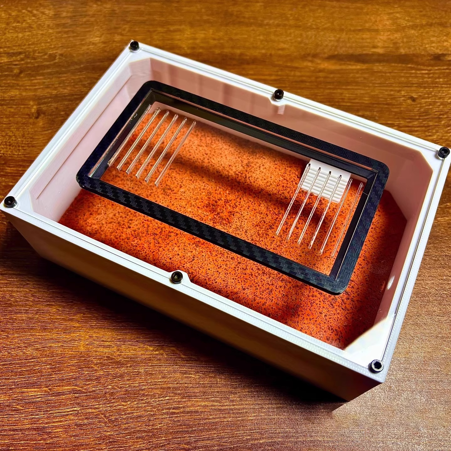 Ant Farm mini CC with External - Begonia Rex recensie en prijs