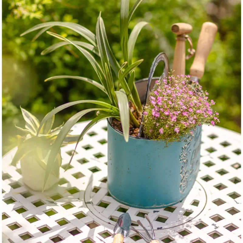 Blue Hanging Wall Planter Aged - Spider Plant Hanging recensie en prijs