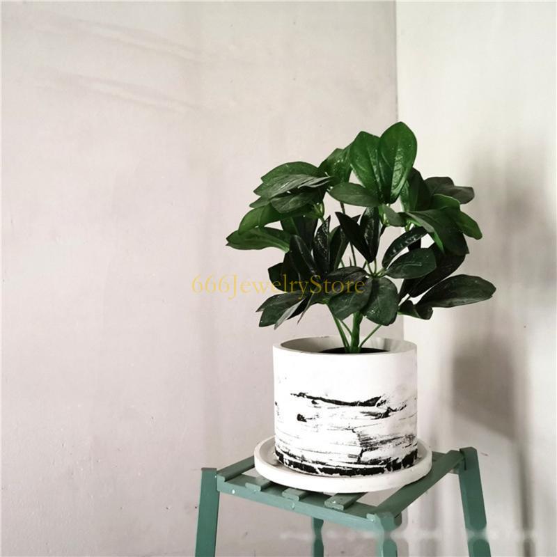 F2TD Large Round Concrete Flow - Echeveria Succulent recensie en prijs