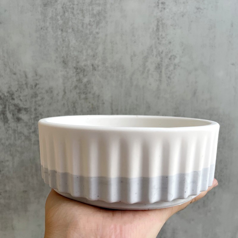 Stripe Flowerpot Silicone Mold - Echeveria Succulent recensie en prijs