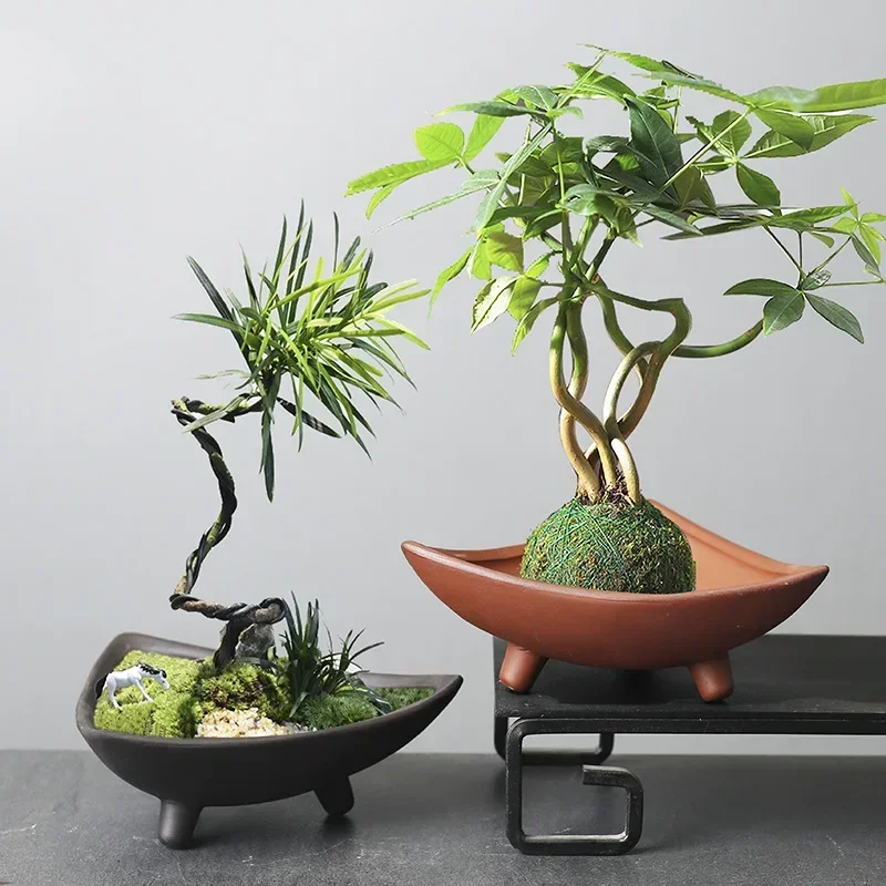 Personalized Ceramic Flower Po - Pilea Peperomioides recensie en prijs