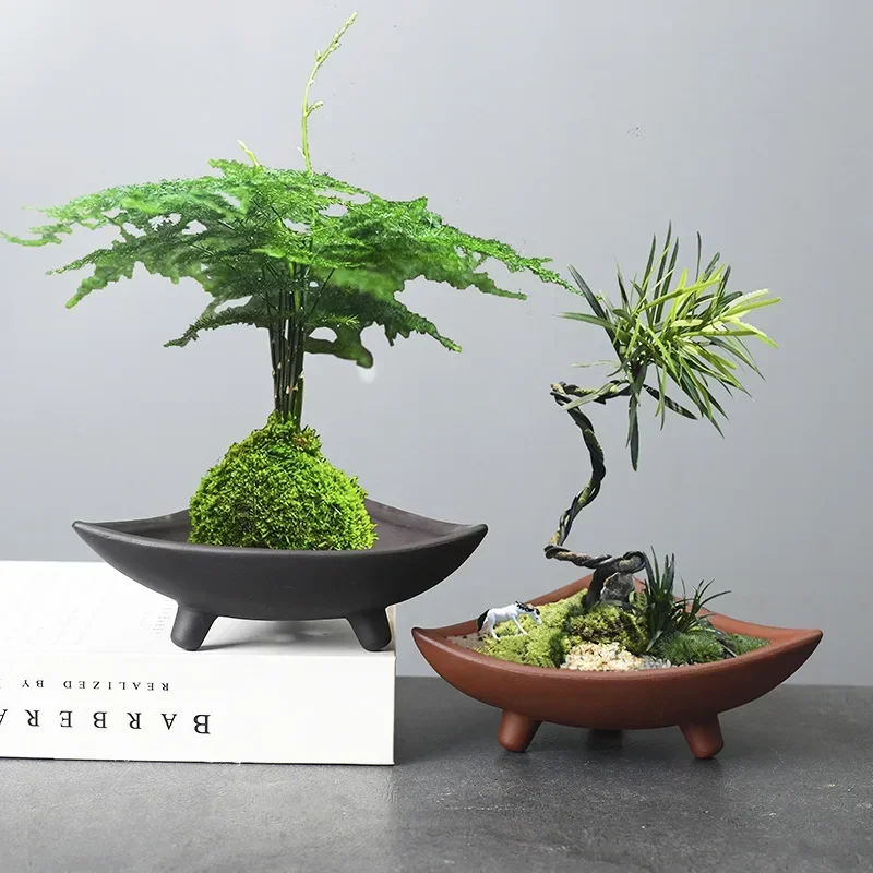 Personalized Ceramic Flower Po - Pilea Peperomioides recensie en prijs