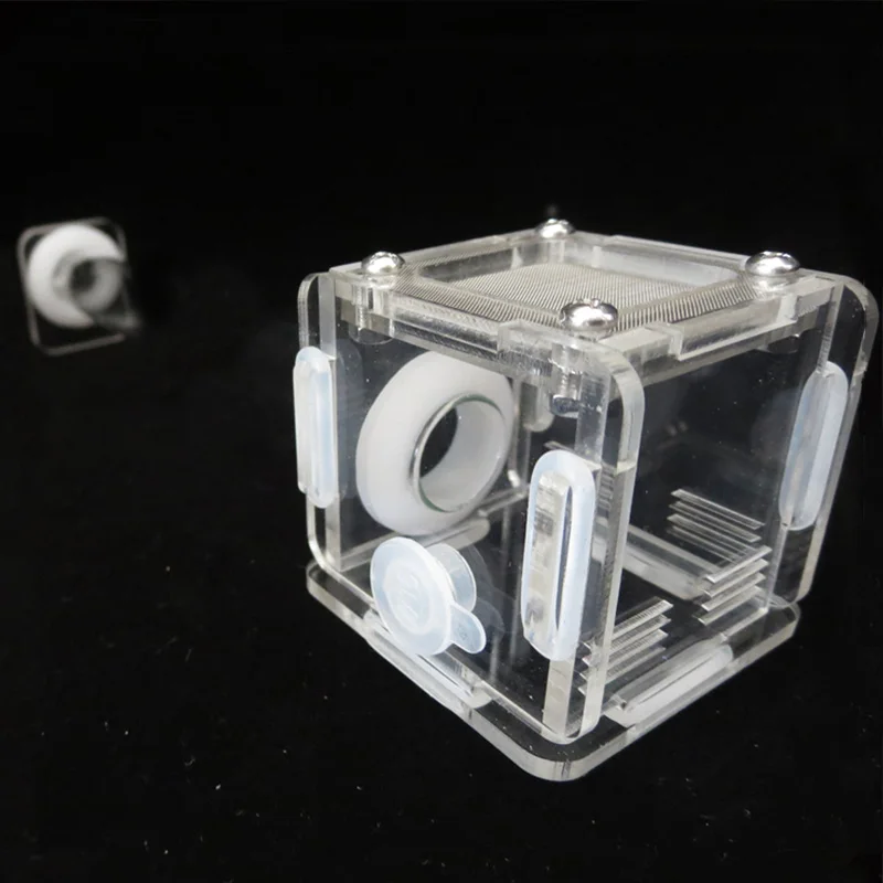 DIY Various Size Ant Farm Bamb - Begonia Rex recensie en prijs