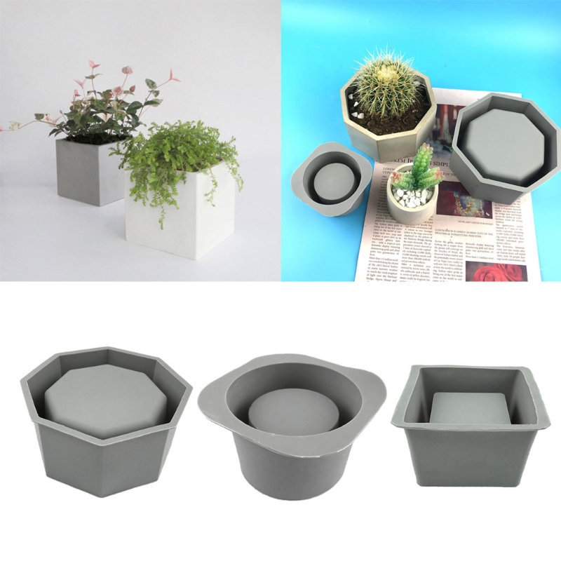 Handmade Succulent Planter Flo - Echeveria Succulent recensie en prijs