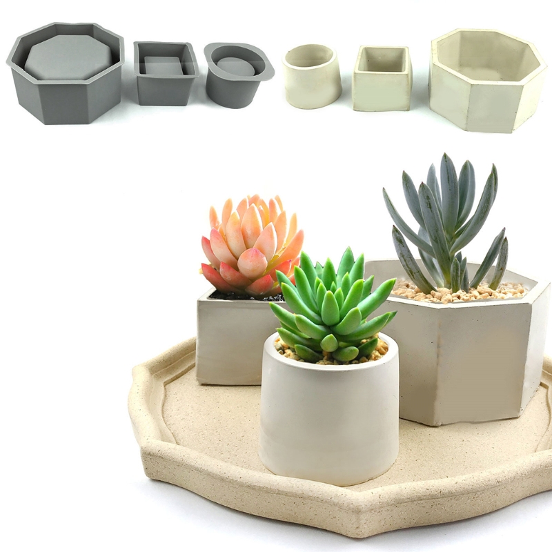 Handmade Succulent Planter Flo - Echeveria Succulent recensie en prijs