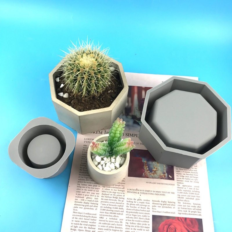 Handmade Succulent Planter Flo - Echeveria Succulent recensie en prijs