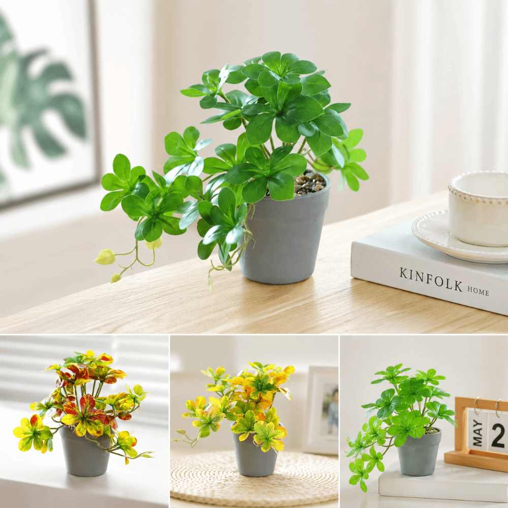 Bonsai Artificial Bonsai Plant - Spider Plant Hanging recensie en prijs