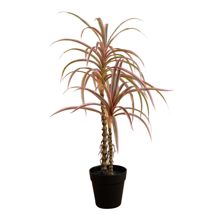 Dracaena Marginata Artificial  - Dracaena Marginata recensie en prijs