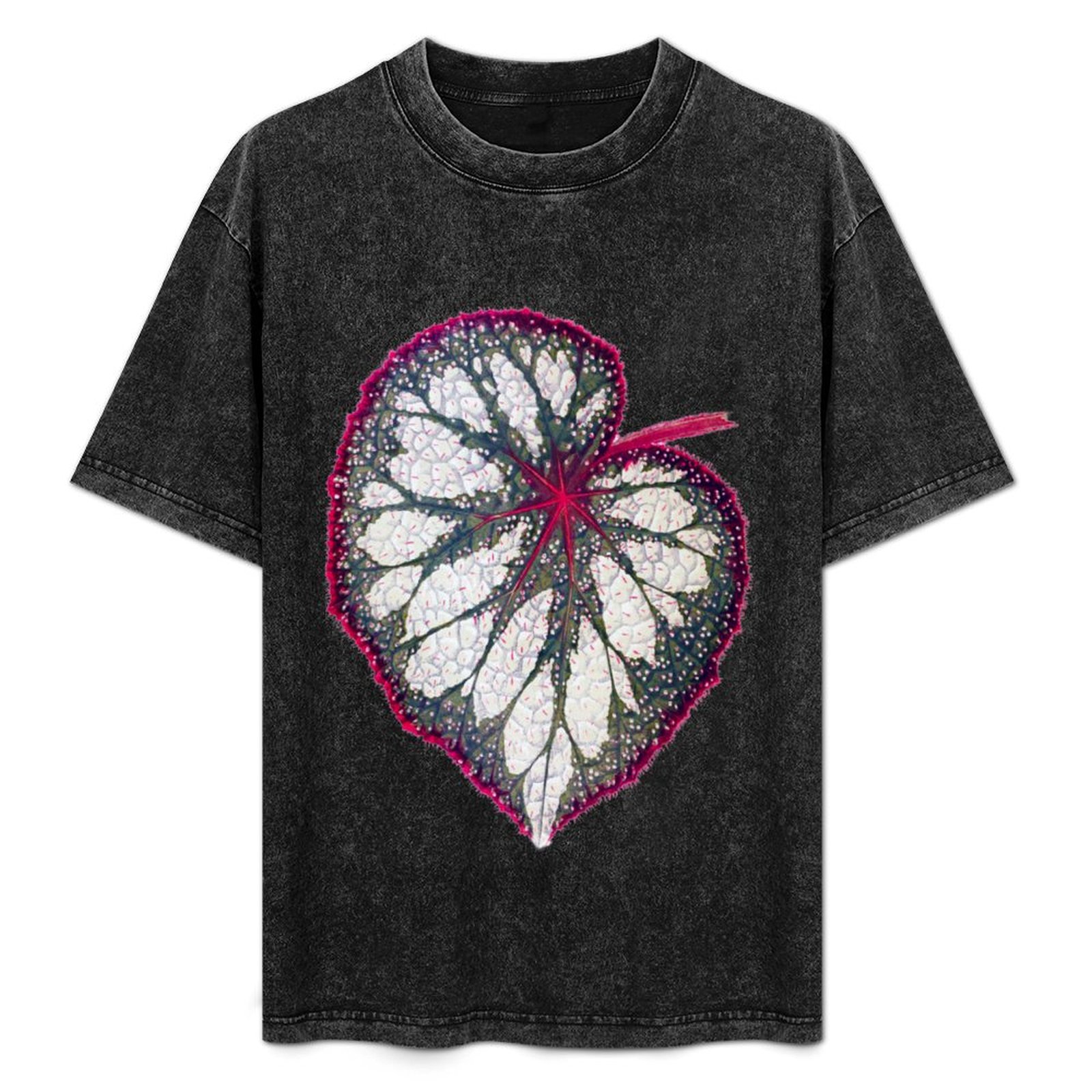 Begonia rex T-Shirt Holiday Si - Begonia Rex recensie en prijs