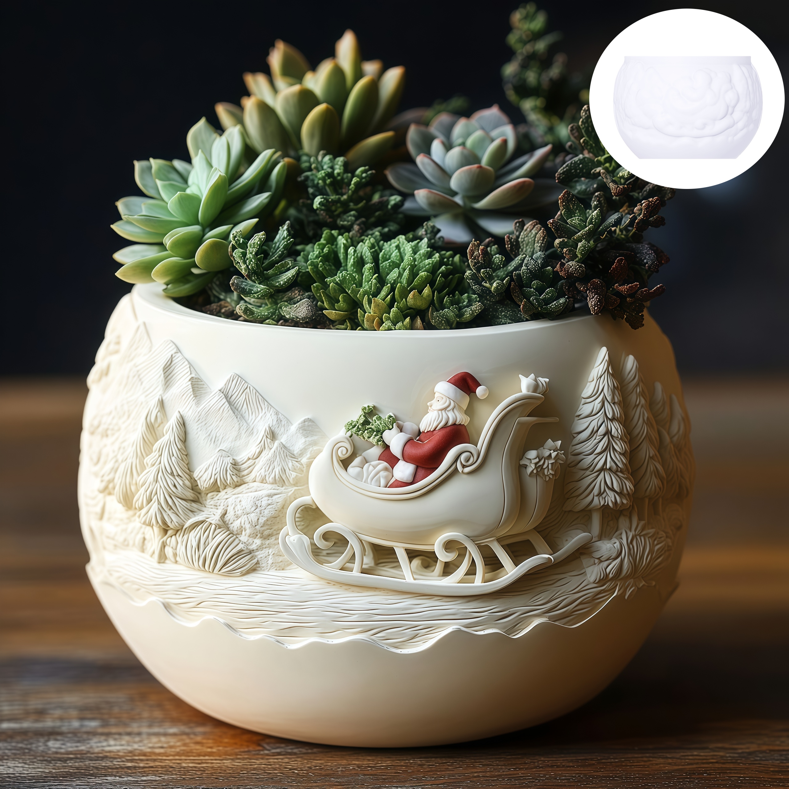 Cedar Sled Santa Claus Relief  - Echeveria Succulent recensie en prijs