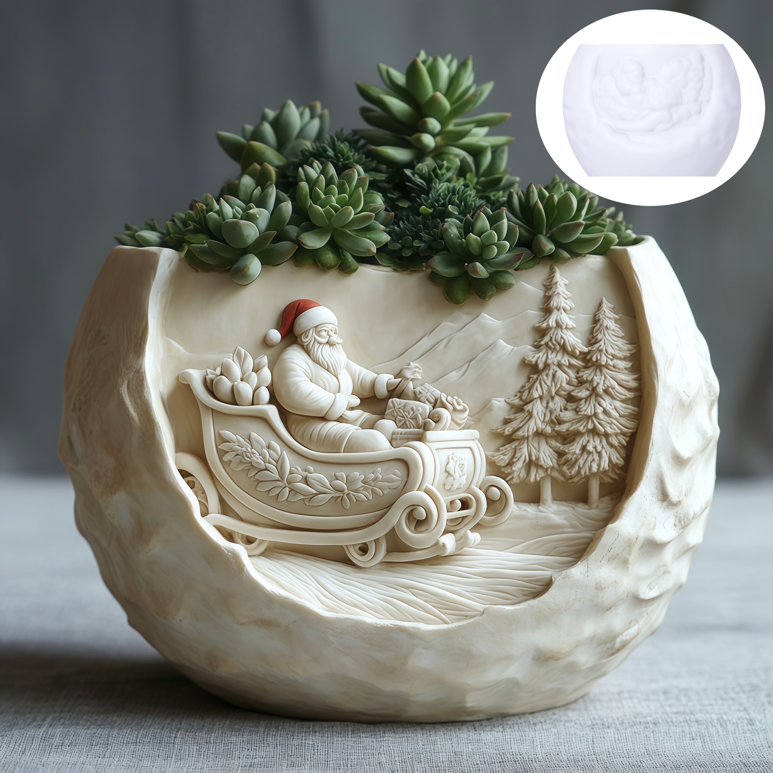 Cedar Sled Santa Claus Relief  - Echeveria Succulent recensie en prijs