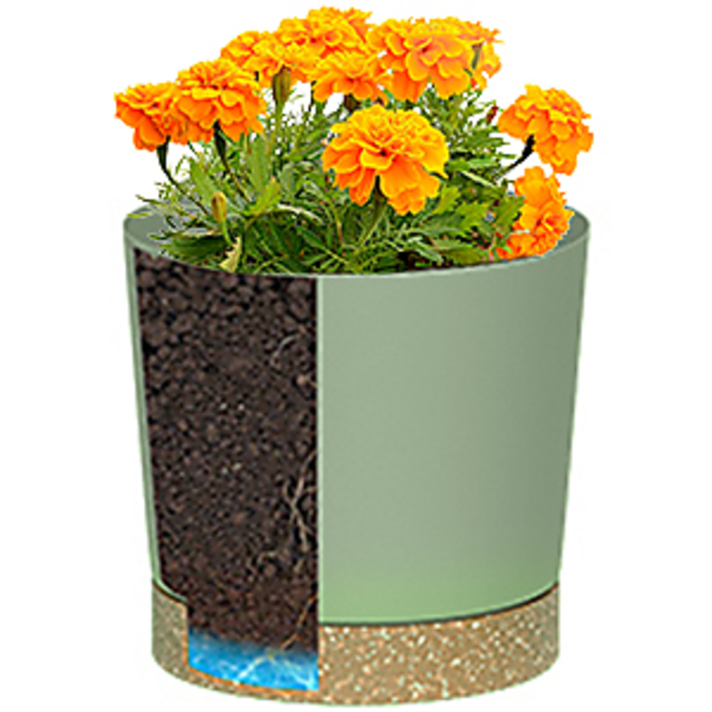 Plant POTS, lightweight large  - Pilea Peperomioides recensie en prijs
