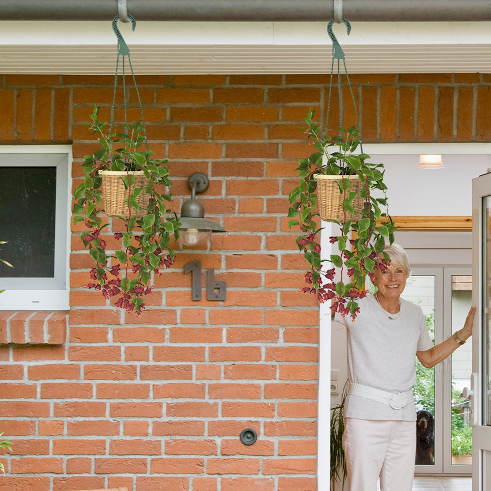 5Pcs Heavy Duty Hanging Basket - Spider Plant Hanging recensie en prijs