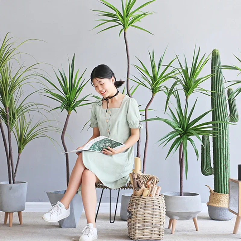 Simulation Plant Dracaena Marg - Dracaena Marginata recensie en prijs
