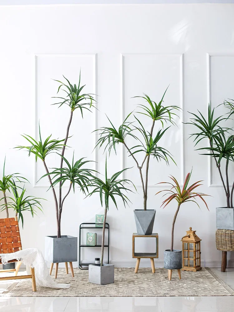 Simulation Plant Dracaena Marg - Dracaena Marginata recensie en prijs