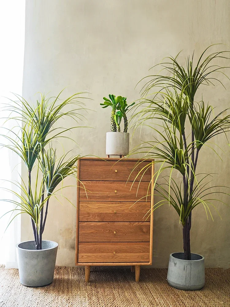 Simulation Plant Dracaena Marg - Dracaena Marginata recensie en prijs