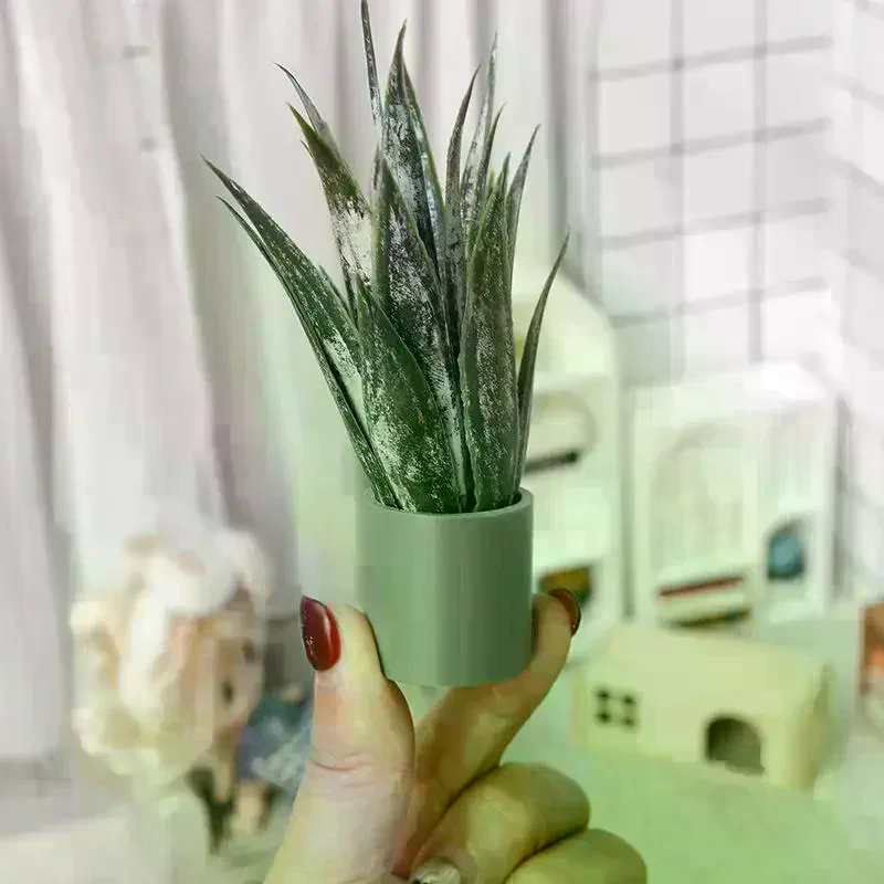 Dollhouse Decor Mini Aloe Vera - Aloe Vera Pot recensie en prijs