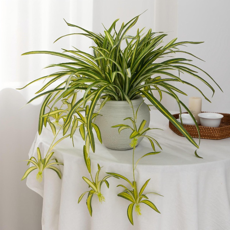Artificial Spider Plant Chloro - Spider Plant Hanging recensie en prijs